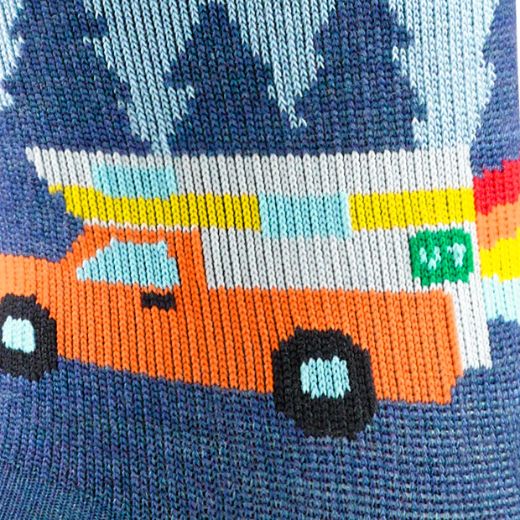 Bilde av Darn Tough Van Wild Micro Crew Lightweight With Cushion Multicolor