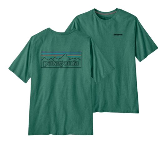 Bilde av Patagonia M´S P-6 Logo Responsibili-Tee Pohl P-6 Outline: He